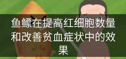 鱼鳔在提高红细胞数量和改善贫血症状中的效果